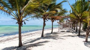 Villa Nazario |  -  - 