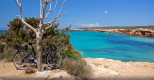 Super Attico a un Passo dal Paradiso |  -  - 