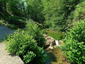 L'Antico Borgo dei Poeti  |  -  - 