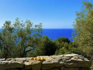 Antico Rustico del Paradiso |  -  - 