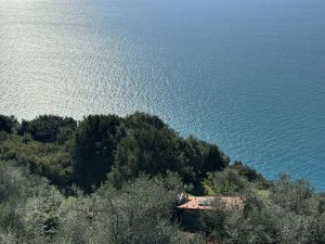Antico Rustico del Paradiso |  -  - 