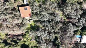 Antico Rustico del Paradiso |  -  - 