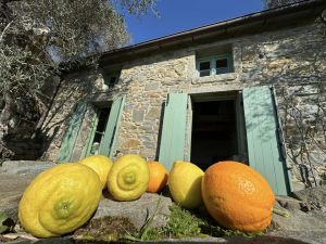 Antico Rustico del Paradiso |  -  - 