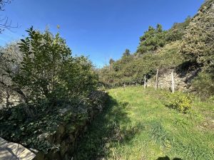 Antico Rustico del Paradiso |  -  - 