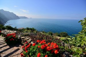 Antico Rustico del Paradiso |  -  - 