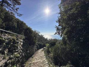 Antico Rustico del Paradiso |  -  - 