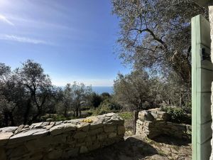 Antico Rustico del Paradiso |  -  - 