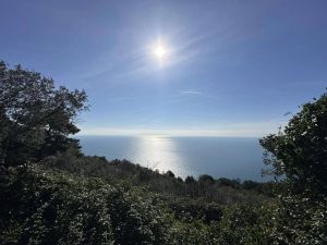 Antico Rustico del Paradiso |  -  - 