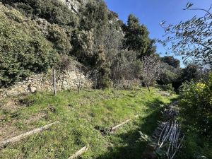 Antico Rustico del Paradiso |  -  - 