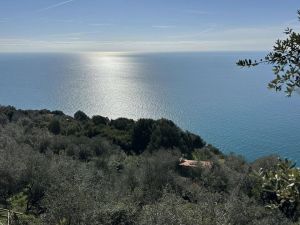 Antico Rustico del Paradiso |  -  - 