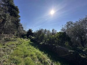Antico Rustico del Paradiso |  -  - 