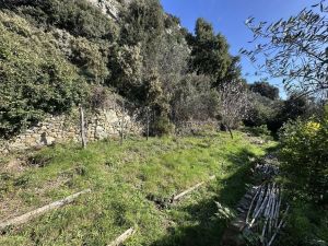 Antico Rustico del Paradiso |  -  - 