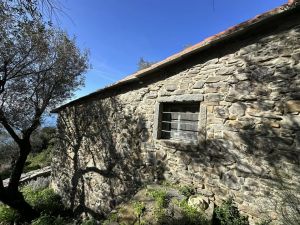 Antico Rustico del Paradiso |  -  - 