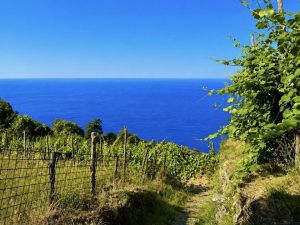 Antico Rustico del Paradiso |  -  - 