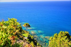 Antico Rustico del Paradiso |  -  - 