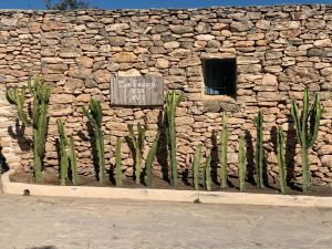 Grande Finca Payesa Ses Illetes |  -  - 