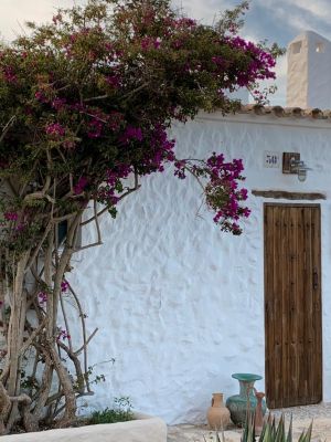 Grande Finca Payesa Ses Illetes |  -  - 
