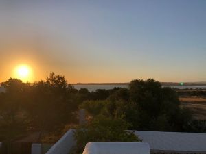 Grande Finca Payesa Ses Illetes |  -  - 