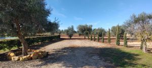 Casa Salento Mare |  -  - 