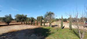 Casa Salento Mare |  -  - 