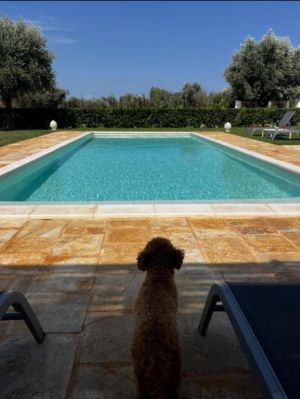 Casa Salento Mare |  -  - 