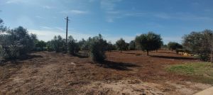 Casa Salento Mare |  -  - 