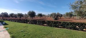 Casa Salento Mare |  -  - 