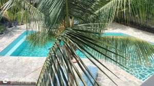 Villa Makini |  -  - 