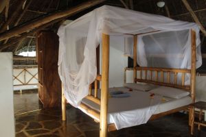 Villa Makini |  -  - 
