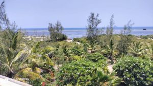 Tenuta Indian Ocean |  -  - 
