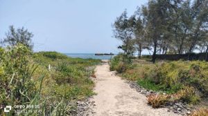 Tenuta Indian Ocean |  -  - 