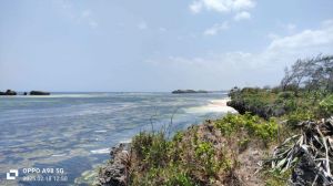 Tenuta Indian Ocean |  -  - 