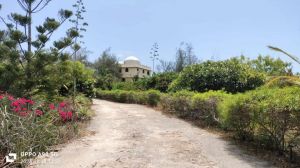 Tenuta Indian Ocean |  -  - 