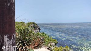 Tenuta Indian Ocean |  -  - 