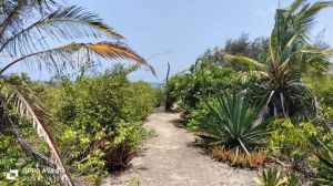 Tenuta Indian Ocean |  -  - 