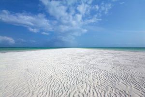 Tenuta Indian Ocean |  -  - 