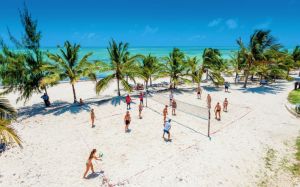 Tenuta Indian Ocean |  -  - 
