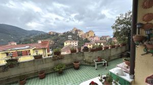 Appartamento Terrazza sul Verde |  -  - 