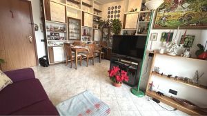 Appartamento Terrazza sul Verde |  -  - 