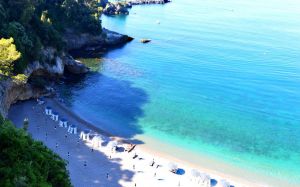 Appartamento Terrazza sul Verde |  -  - 