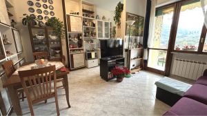 Appartamento Terrazza sul Verde |  -  - 