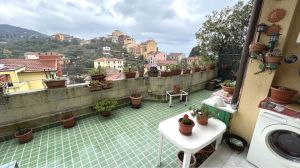 Appartamento Terrazza sul Verde |  -  - 