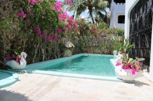 Villa Nyumba Saturn |  -  - 