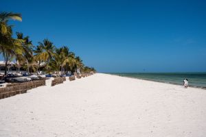 Villa Nyumba Saturn |  -  - 