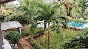 Salama Paradise |  -  - 