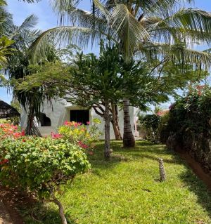 Salama Paradise |  -  - 