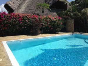 Salama Paradise |  -  - 