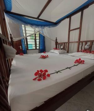 Salama Paradise |  -  - 