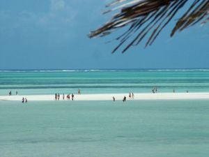 Salama Paradise |  -  - 
