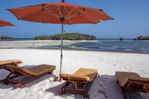 Salama Paradise |  -  - 